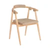 La Forma Chaise Salle à Manger En Bois Massif D’eucalyptus Vert – Majela 17